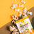 Prince of Peace Ginger Hard Candy, 4oz