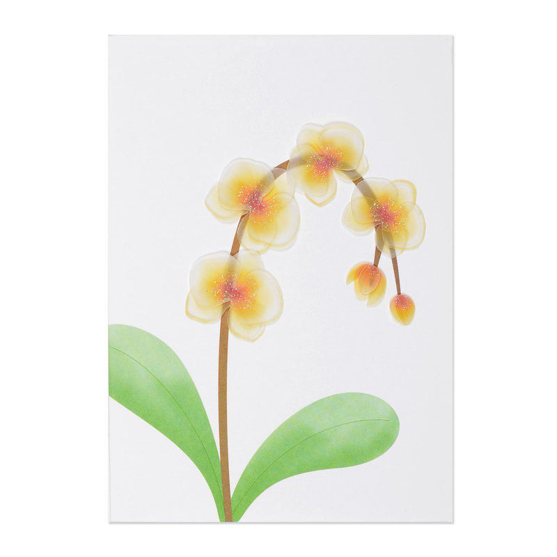 Papyrus greeting cards yellow orange vellum orchid blossoms sympathy card