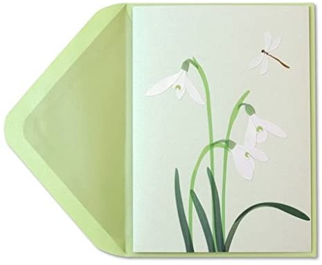 Papyrus green and white dragonfly crocus flower sympathy card - pale green shimmer white flowers.