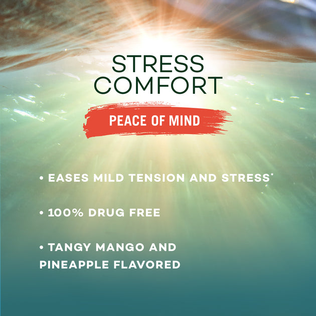 Nature's Bounty Stress Comfort Peace of Mind Gummies, 42 ct | Silver ...