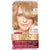 L'Oreal Paris Excellence Creme Permanent Hair Color, 8G Medium Golden Blonde, 1 COUNT