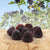 Airborne Elderberry + Vitamins & Zinc Crafted Blend Immune Supplement Gummies, 60 Ct