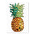 PAPYRUS - Gemmed Pineapple